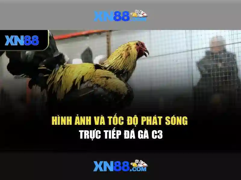 💎nha cai ww88💎 - ww88 nha cai - nha cai ww88