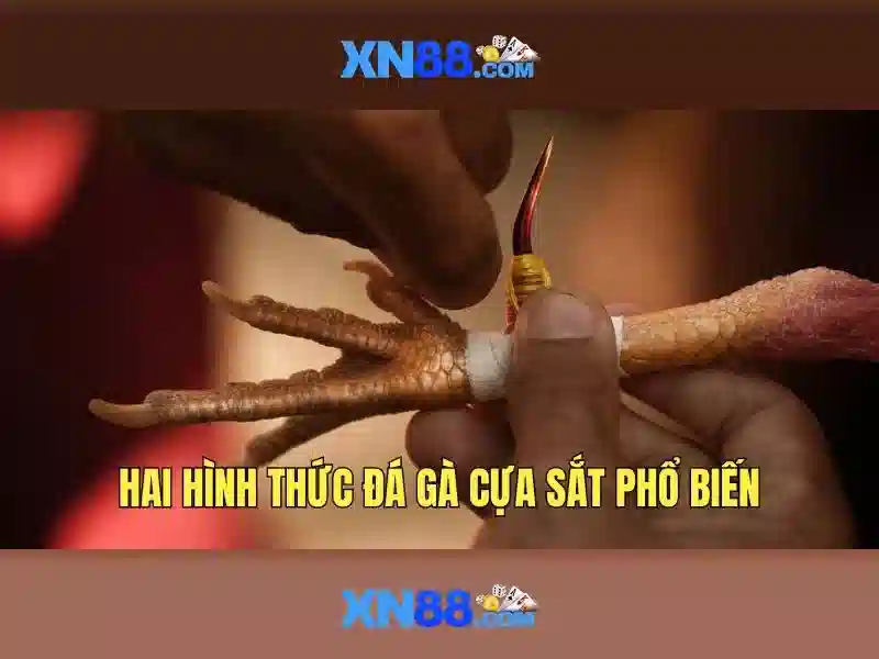 Nổ Hũ XN88 – Tựa Game Slot Đổi Thưởng Siêu Đỉnh Tại XN88 - XN88