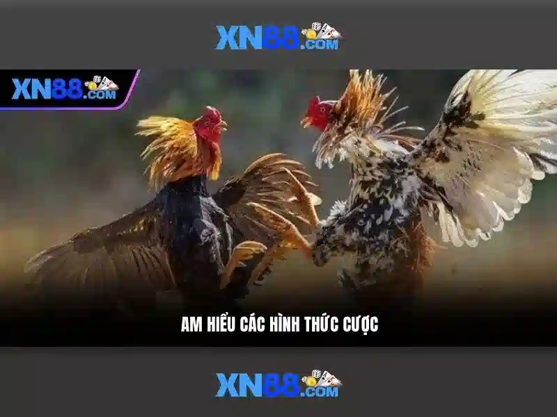 💎ca nhạc cuộc tình không trọn vẹn💎