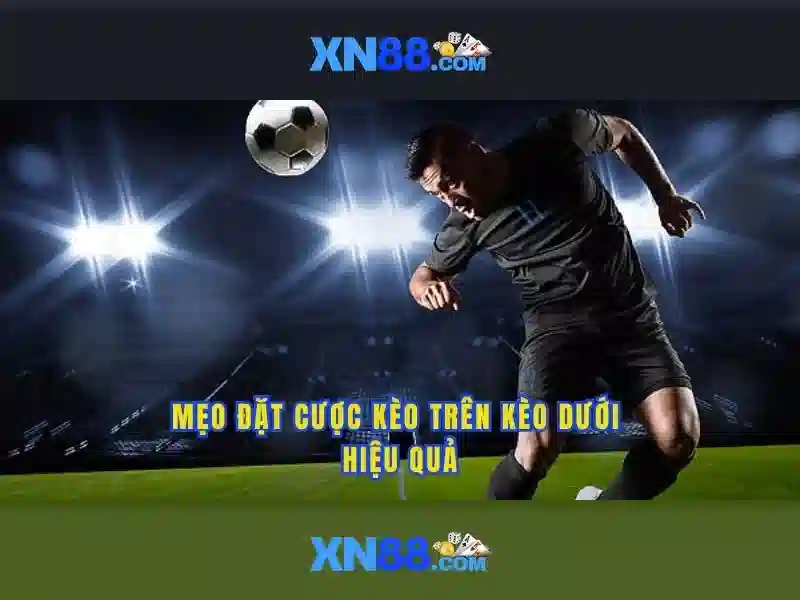 💎nhà cái uy tín tinnhacai.com💎