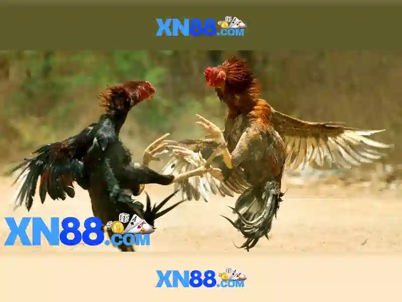 XN88 App: Trải Nghiệm Slot Đỉnh Cao Với Kèo Chấp 1/2 2026 - XN88