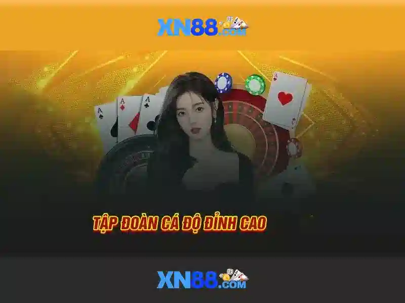 💎công ty bắc sông hồng💎