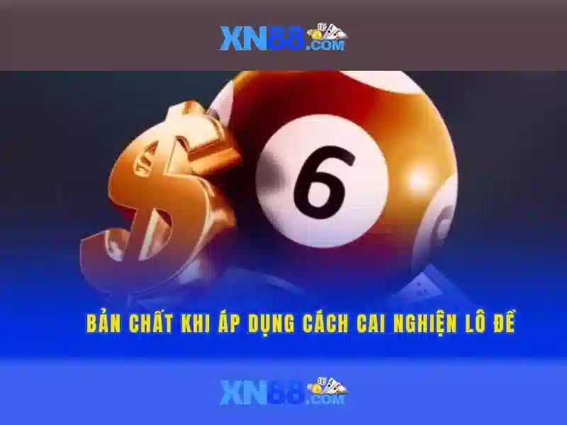 💎công ty tnhh quốc tế xn88💎