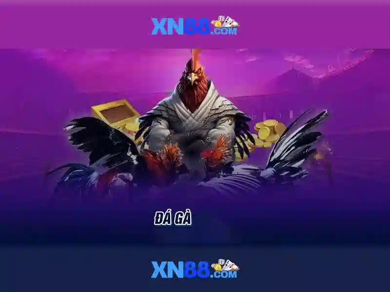 💎hb88 finance💎