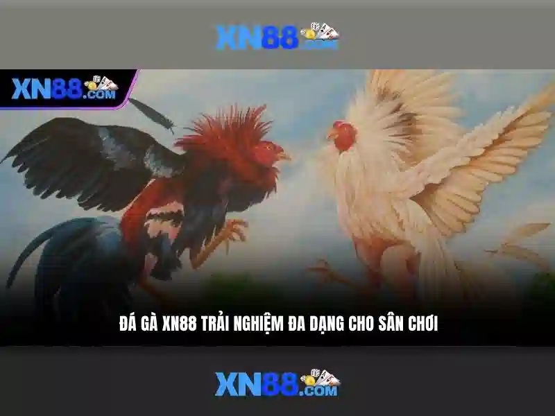 💎nha cai uy tin 168.com💎