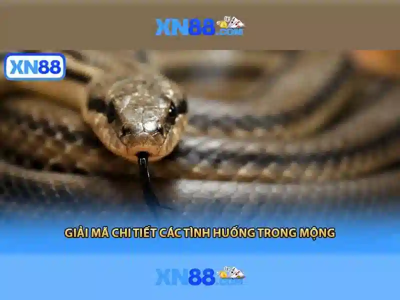 💎tỷ lệ cá cược ty so💎