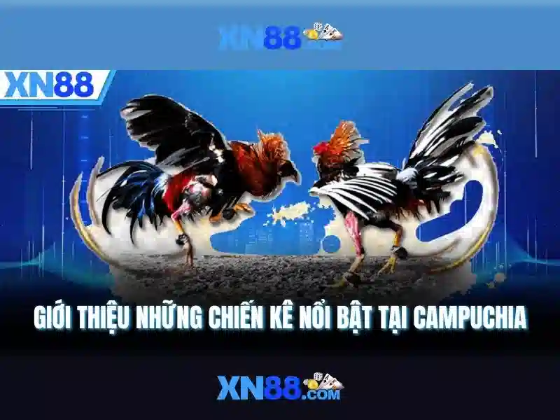 💎m88 nhà cái trực tuyến hàng đầu châu á́́💎