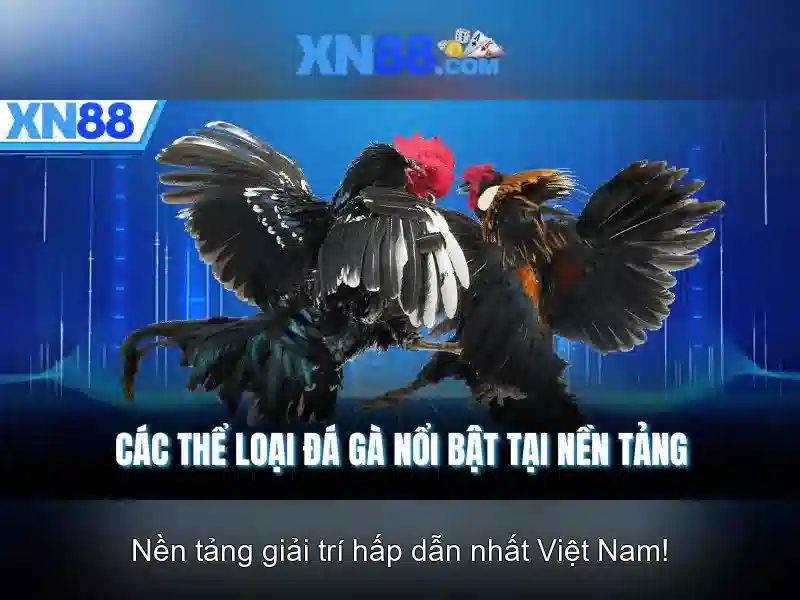  luật chơi - XN88