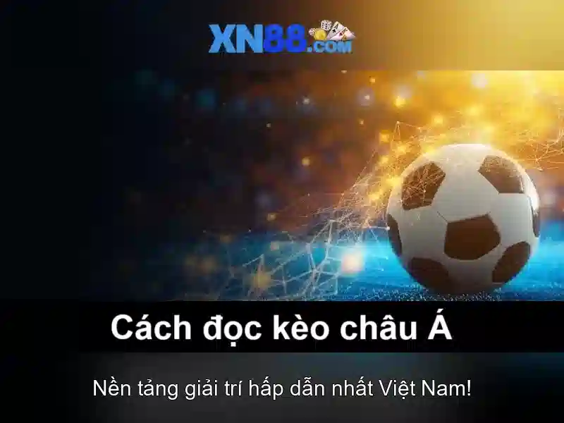 💎tỷ lệ cá cược bóng đá u19💎