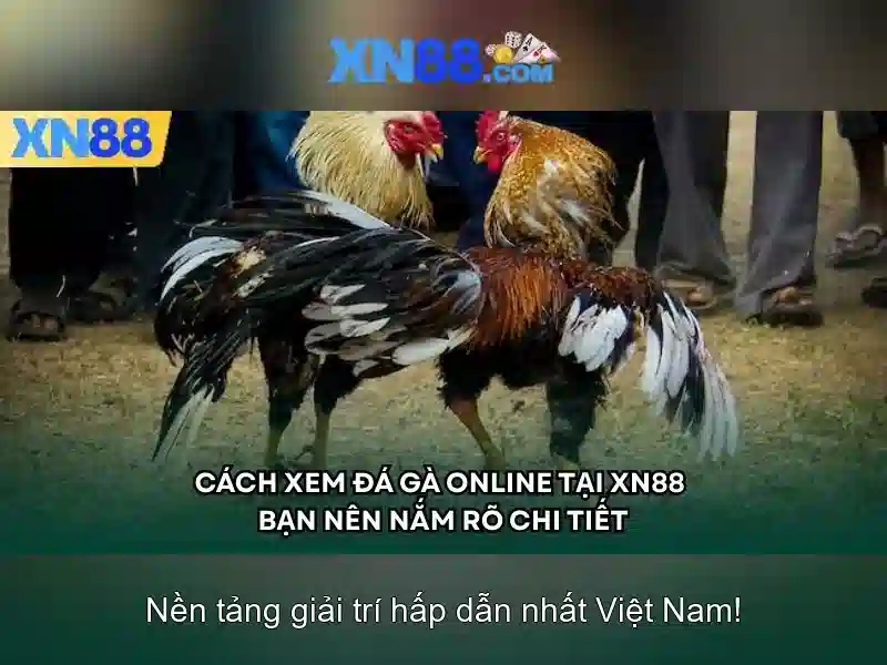 💎xn88 new member register free 100💎