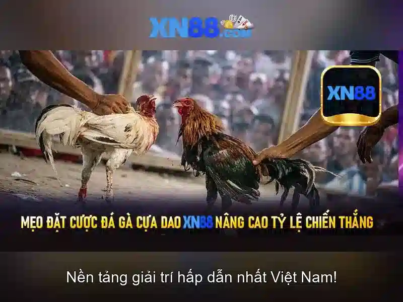 💎66b quán sứ💎 - 66b triều khúc thanh xuân hà nội - akai fmt-66b