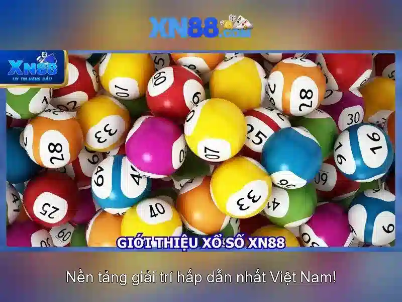 💎fortune bingo 888 slot💎