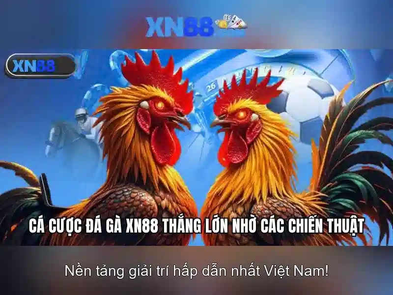 💎1bwm nhà cái💎