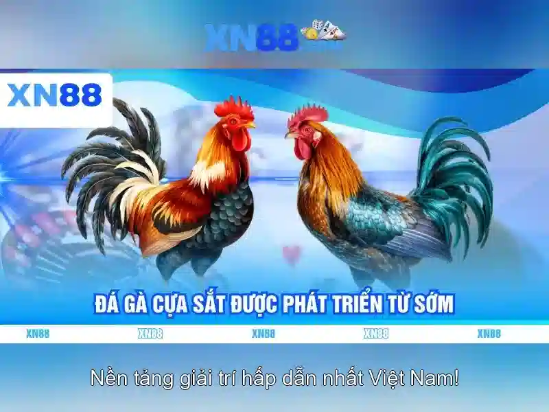 💎nhà xe đại ngân thị xã cai lậy💎