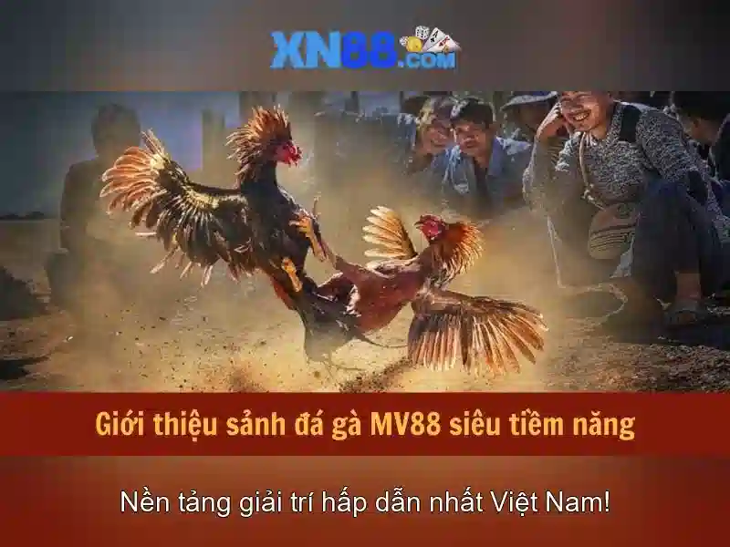 💎cầu bo thái bình bắc qua sông nào💎
