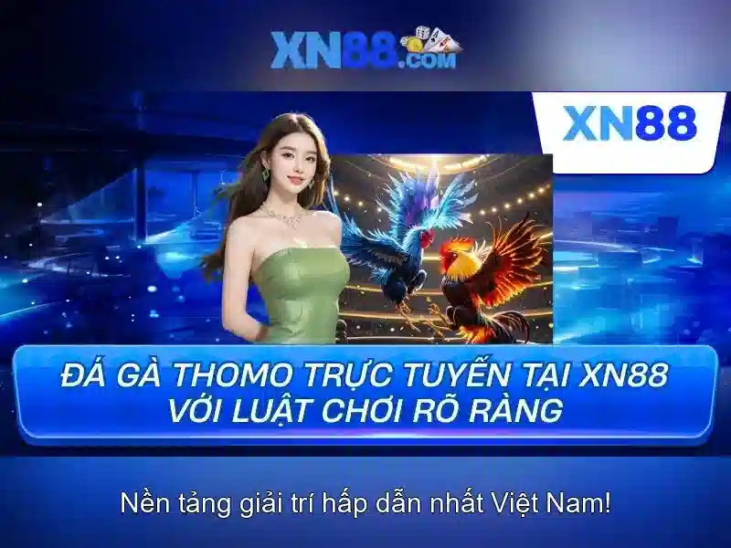  khuyến mãi 288k - XN88