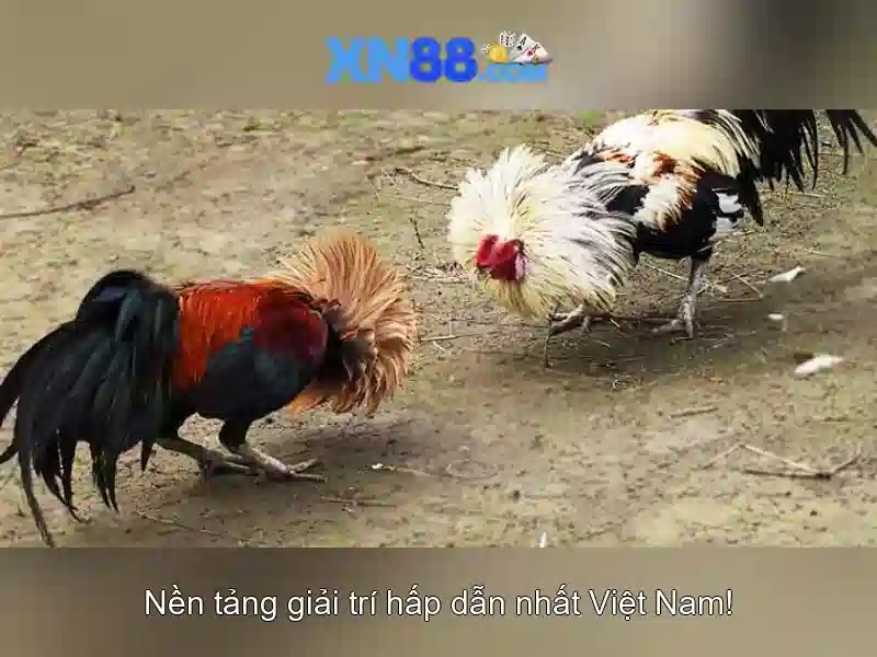 💎888 slot gem💎