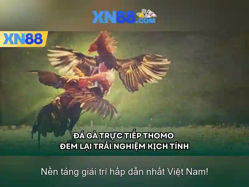 💎phim song bac ma cao💎