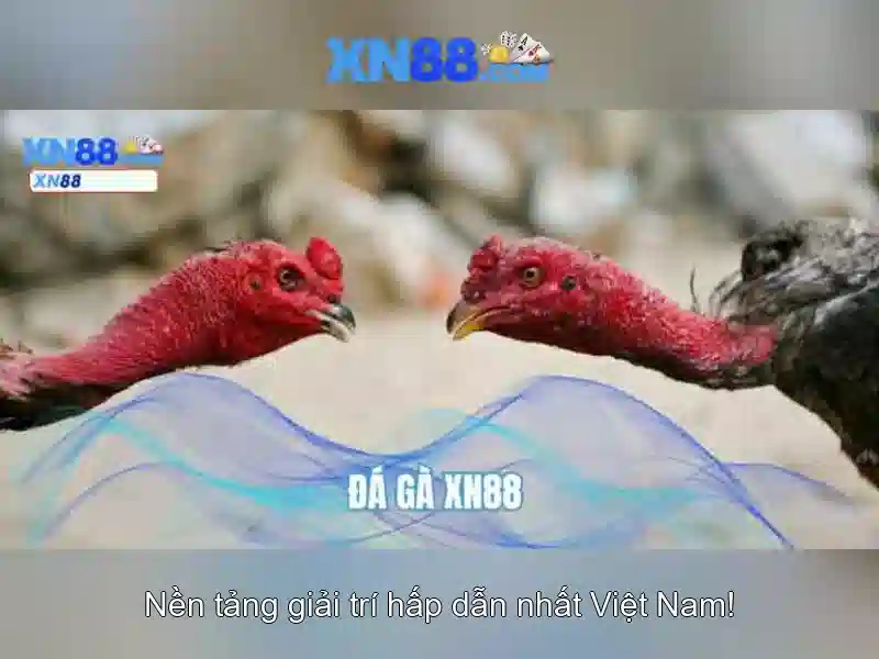 💎hb88 slot pec zwolle💎