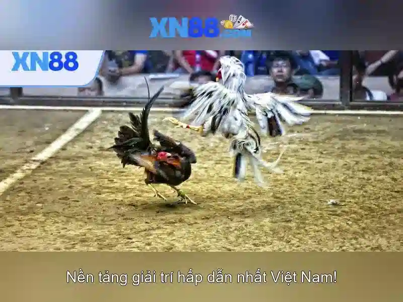 💎danh sách ban thường vụ tỉnh bạc liêu💎