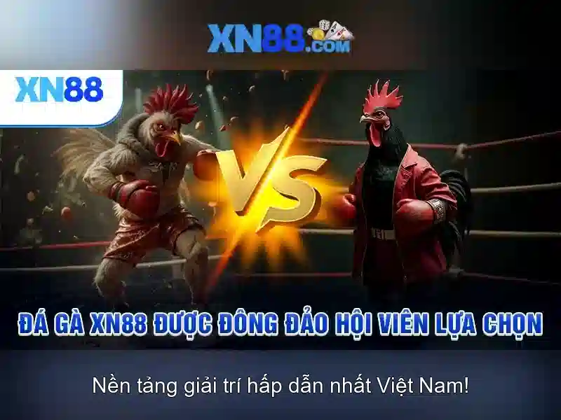 💎nhà cái uy tínm💎