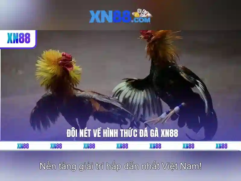 💎tỉ lệ cá cược euro hôm nay💎