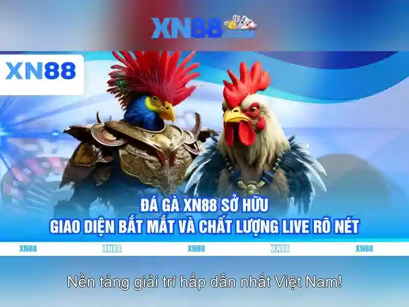 💎xn88 thiện đường cá cược💎