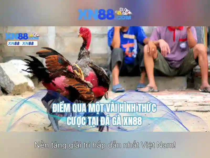💎nhà kèo cai💎
