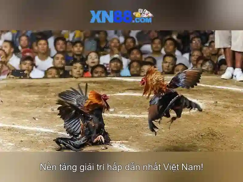 💎cách làm sáng đồng bạc đánh gió💎