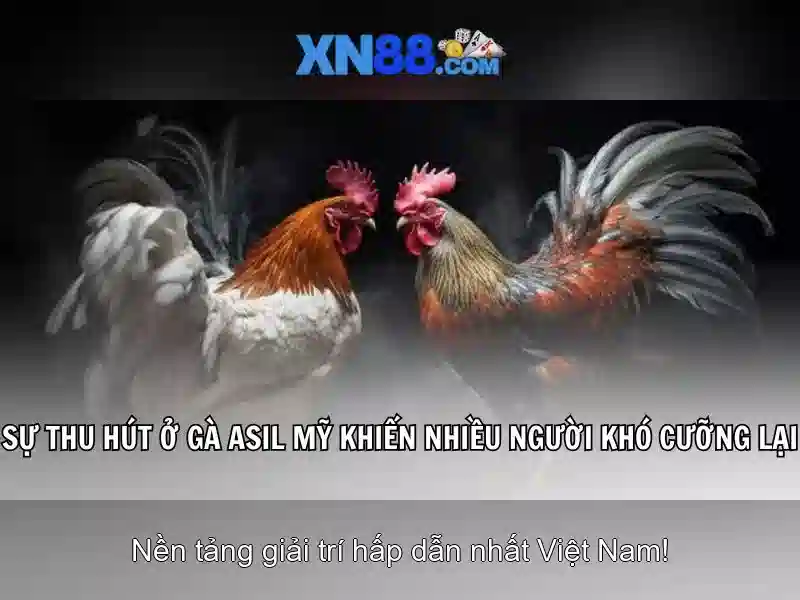 💎69vn xn88 slots nổ hũ bắn cá casino💎