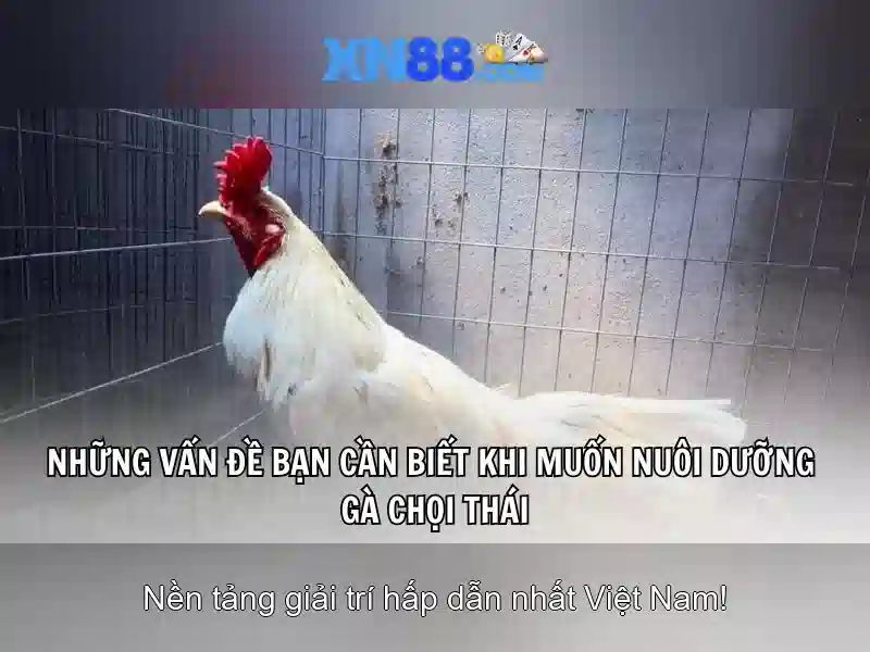 💎7hb88 red hb88 red💎