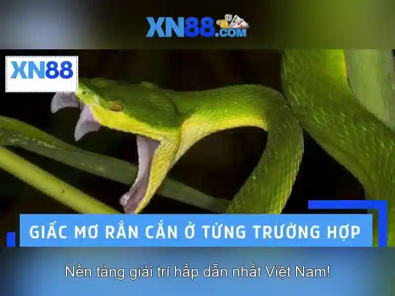 💎niềng răng mắc cài sứ nha khoa paris💎