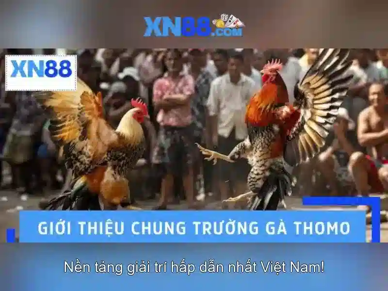 💎xem keo ty le nha cai💎
