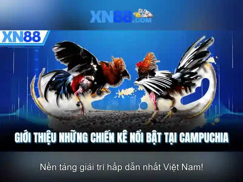 💎nhà hàng cái thùng gỗ nam kỳ khởi nghĩa💎