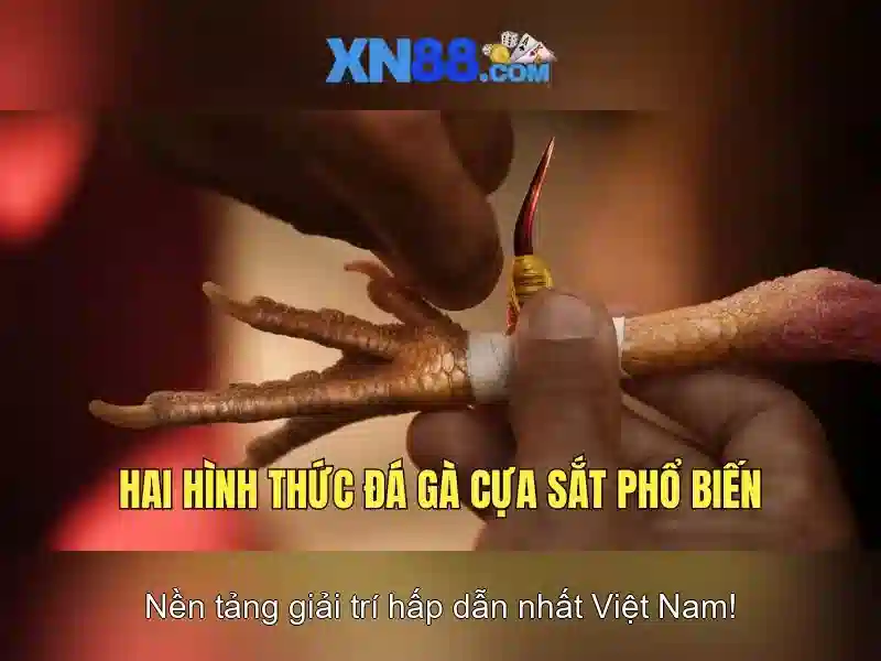💎sv368 nhà cái uy tín số 1⃣ châu á💎