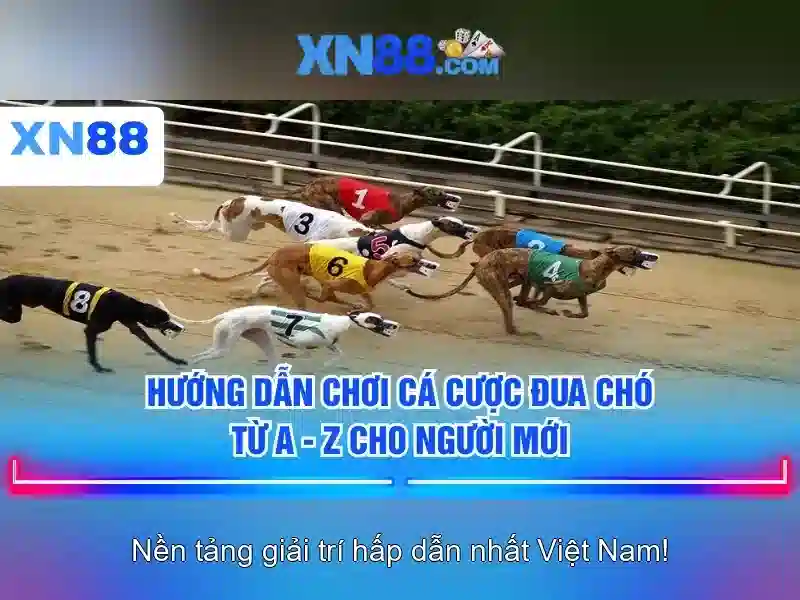 💎nhà cái uy tín223💎