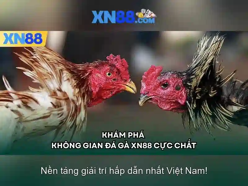 💎188bet -nhà cái💎