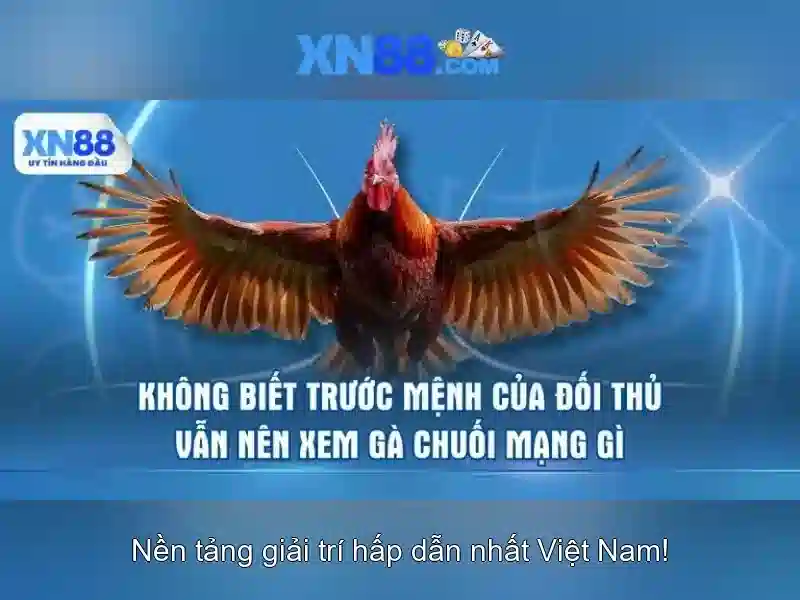 💎vụ đánh bạc ở tây ninh💎
