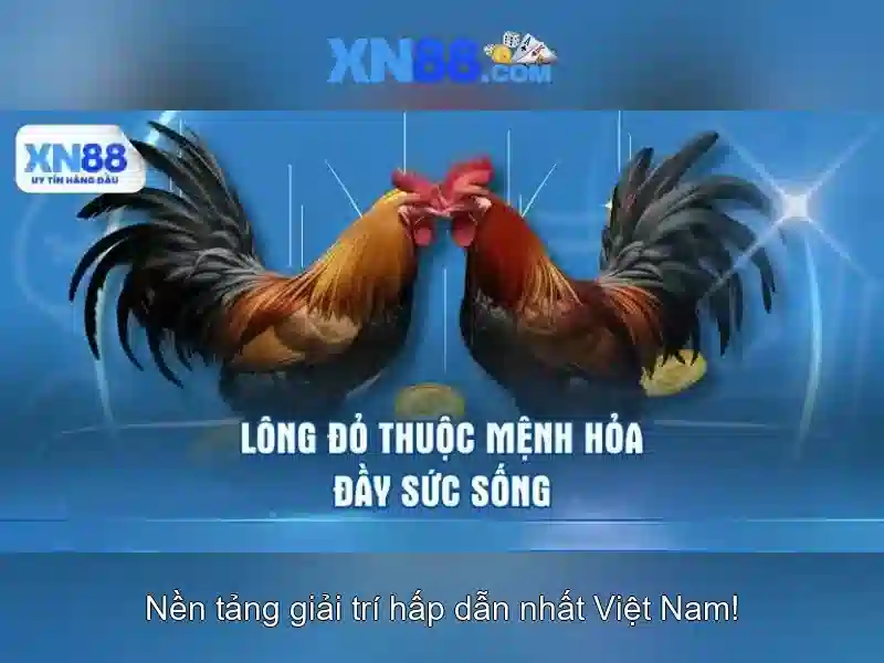 💎soi kèo nhà cái bóng đá ngoại hạng💎