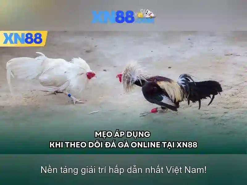 💎giờ lễ nhà thờ cái tắc💎