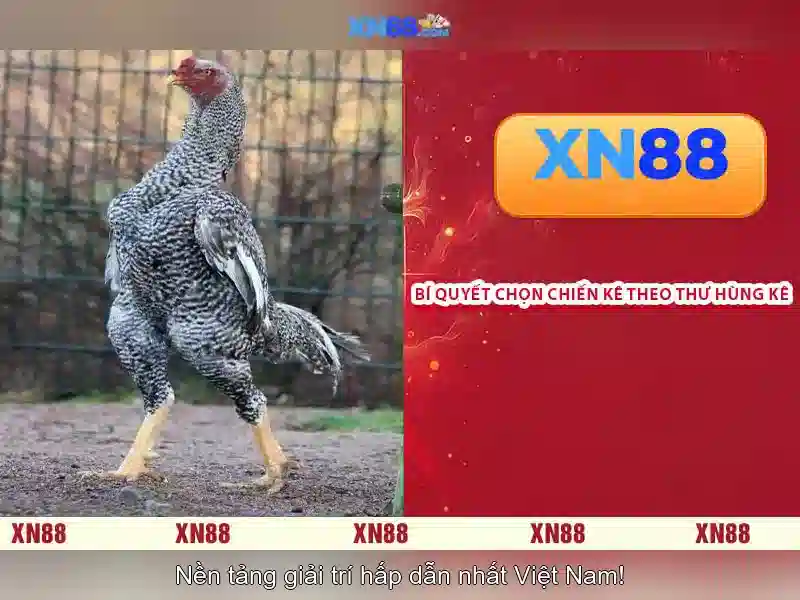 💎maquinas slots gratis💎