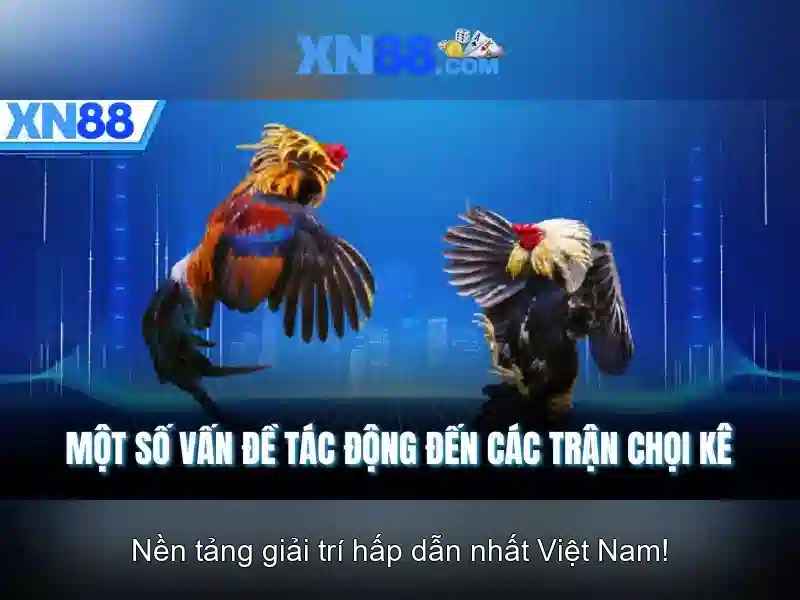 💎try out xn88💎