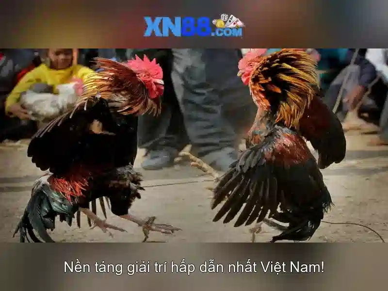 💎xn88 full form💎