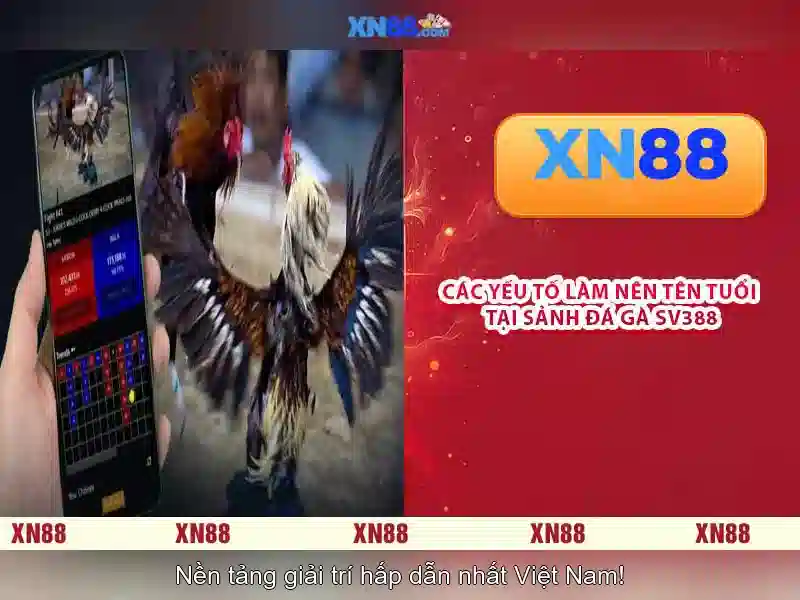 💎habitek 888slot💎