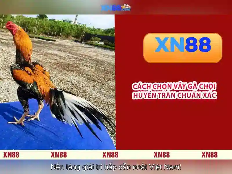 💎tỷ le ca cuoc m7💎