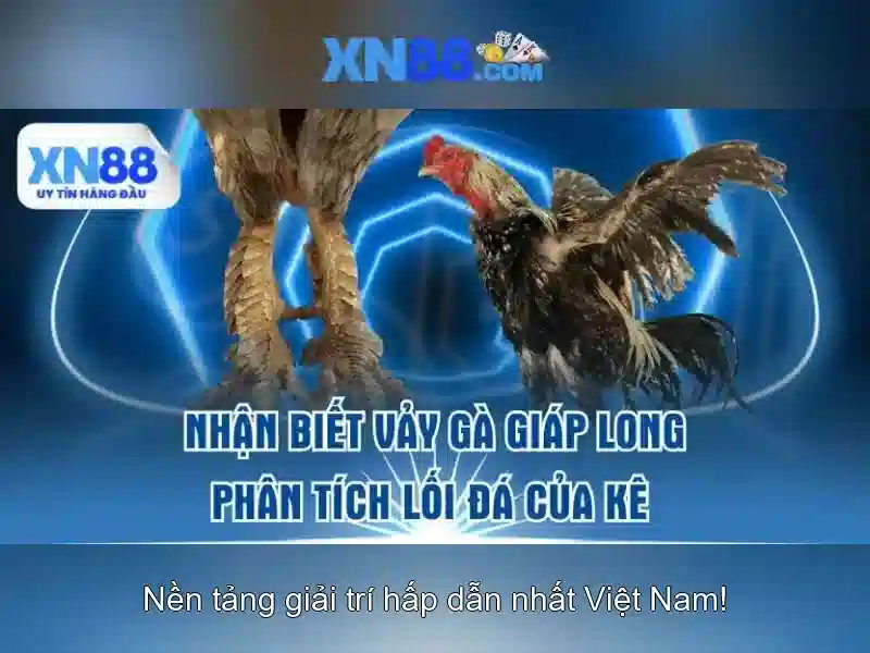 💎xn88 online game malaysia💎