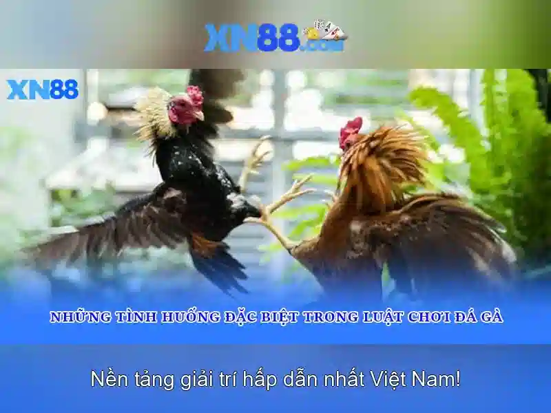 XN88 – Trang Chủ XN88 | Sòng Bạc | Thể Thao | Slot | Casino | 18+ - XN88