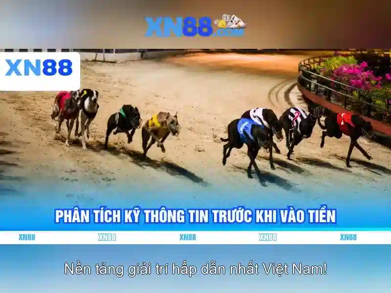 💎88 888slot💎