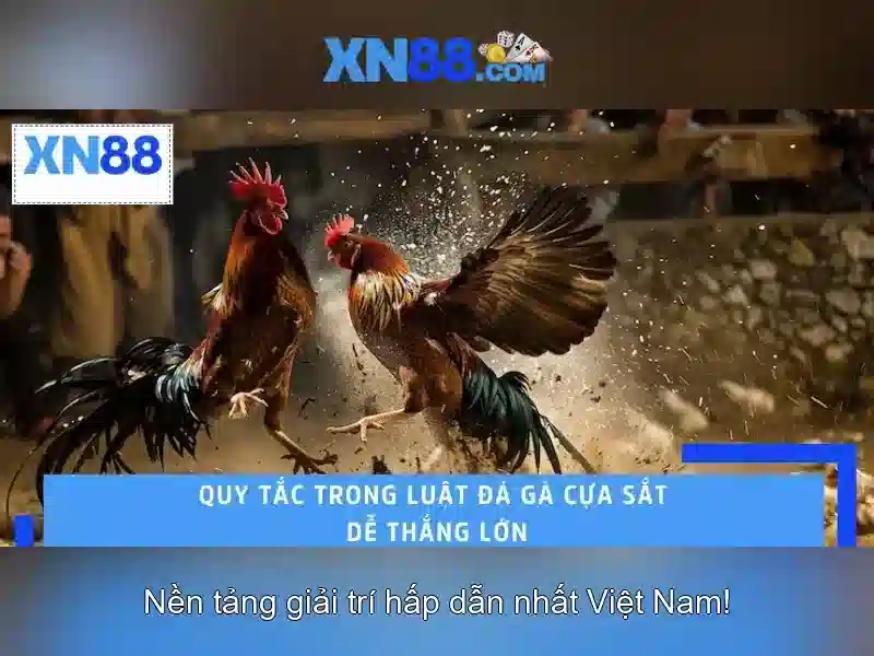 💎66b it act💎 - 66b nhà cái - 66b nguyễn sí sách