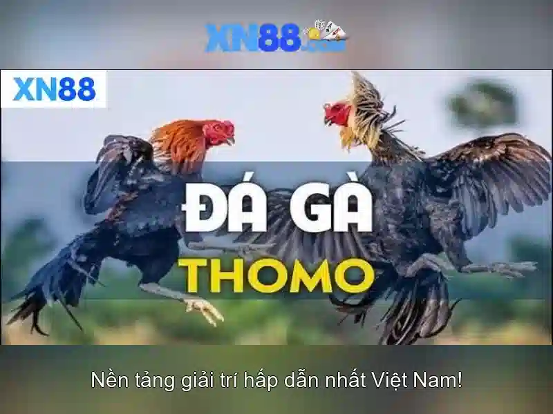 💎song bac truc tiep gaming 789 asia💎
